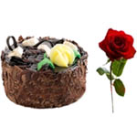 Chocolate-Draped Cake with a Rose