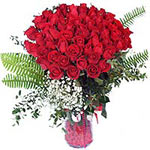Classic Christmas with Roses Expressions