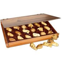 Exclusive Selection of 24 Pc Shell Shaped Chocolates in Monochrome Wooden Box