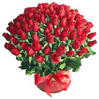 Enchanting Arrangement of 100 Red Roses in a Vase