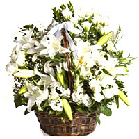 Brilliant Arrangement of 20 White Roses and 15 White Lilies Bouquet