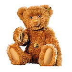 You can also send this Cute Teddy Bear....