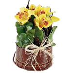 Extraordinarily decorative  a magnificent arrangement in vibrant colours.  
 
...