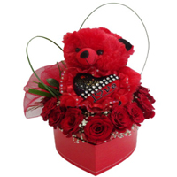 Combo Pack of Roses and Teddy Bear