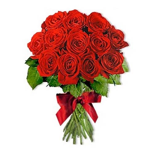 12 Red Roses