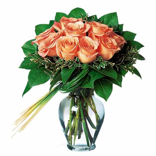 12 Orange Sunset Roses