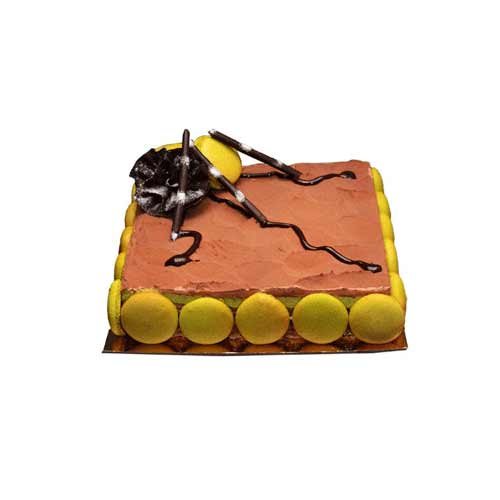 Pleasurable Hazelnut Pistachio Chocolate Cake