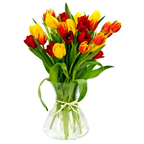 Stunning Bunch of Tulips in a Vase