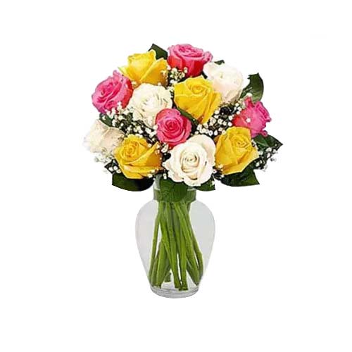 Vibrant Assemble of 12 Roses in a Vase