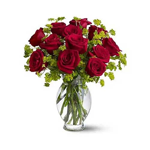 Blushing Bunch of One Dozen Red Roses <br/><br/>