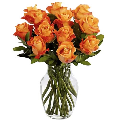 Gorgeous Assortment of 12 Orange Roses