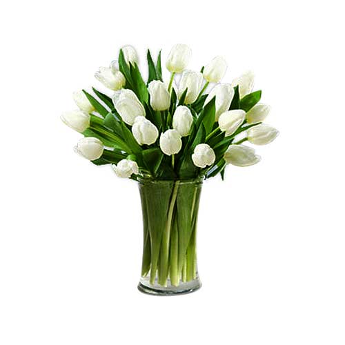 Divine Presentation of 20 White Tulips