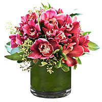 Delicate Seasons Finest Choice Pink Cymbidum Orchids