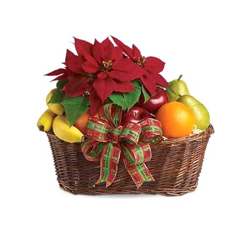Adorable Assorted Fruits with Poinsettia Plant