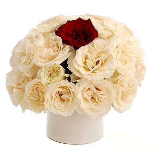 Loves divine, and roses are too. This elegant arra......  to Sila