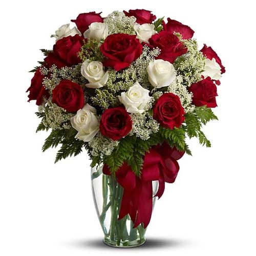 Red N White Roses