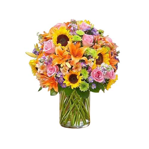 Divine Blooms Flower Assortment