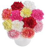 Cheerful Cluster of Carnations