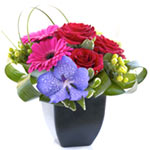 Eye-Catching Combination of Various Flowers in a Pot