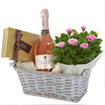 Food-Friendly Selection of Wine N Rose Plant with Chocolates