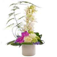 Exquisite Orchid Flower Arrangement