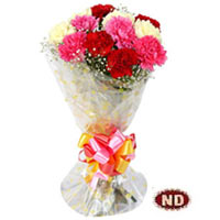 10 Mix Carnations