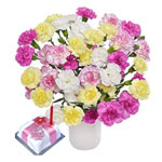 A classic gift, this Splendid Spray Carnation Bouq......  to Birmingham