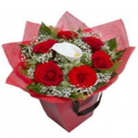 This splendid gift of Distinctive Mystic Elegance ......  to Biggar