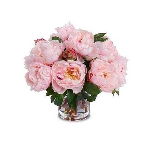 12 beautiful Peonies in a glass vase......  to Sila