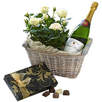 Champagne Gift Basket