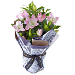 Elegant Gift of One Souvenir Lily Plant
