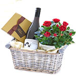 Jammy Collection of Wine N Chocolate with Rose Plant