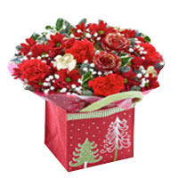 Designed Gift Bag of Perfect Festive Flowers