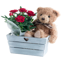 Unique Presentation of Red Roses with a Cute Teddy