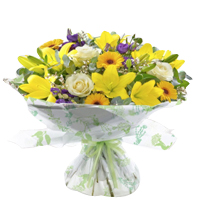 Blossoming Collection of Colorful Flowers<br>
