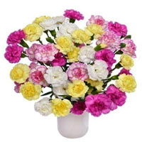 A classic gift, this Mesmerizing Mixture of Multih......  to Douglas