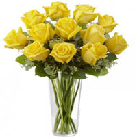 Send your love in the form of this Glorious Specia......  to Pembroke
