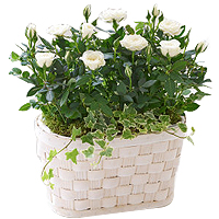 Beautiful Sweetheart Floral Selection