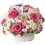 This basket is brimming with the gorgeous pink and white's of mini daisies. Aqua...