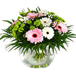 This royal look bouquet is composed of gerberas, chrysanthemums and green blosso...