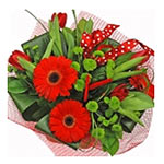 This striking arrangement of gerberas and tulips in red with greens add a festiv...