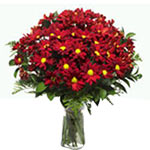 This bouquet is full of bloom with a real wow factor!  It is consists of radiant...