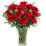 Magical 12 Long Stemmed Red Roses