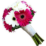 Light of Gorgeous Gerberas Bouquet