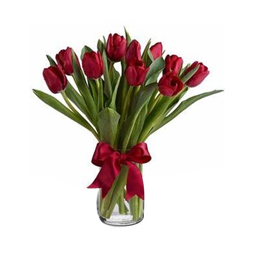 Classy Valentine Gift of Red Tulips