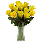 Blooming Yellow Roses