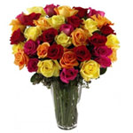 Exotic 36 Mixed Color Roses for Christmas