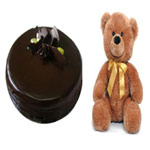 Mouth-Watering Delicious Chocolate Cake and Sweet Teddy Bear