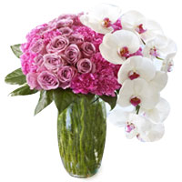 Lovely Bloom of Pink Roses and Orchids in a Vase