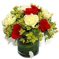 Magnificent Red N Yellow Roses in Cube Vase